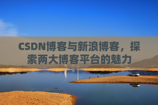 CSDN博客与新浪博客,探索两大博客平台的魅力